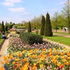 Photo 3: Regent"s Park