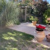Photo 7: Garden