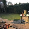 Photo 7: Garden