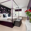 Photo 5: luxurious feel