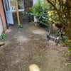 Photo 8: Garden with bike store