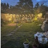 Photo 6: Garden with Night Beauty