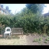 Photo 7: GARDEN