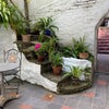 Photo 5: Access + courtyard