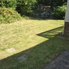 Photo 4: Garden