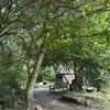 Photo 3: River Walk on your doorstep 