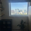 Photo 6: View from your room