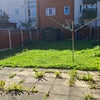Photo 3: Garden