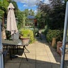 Photo 7: garden