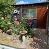Photo 8: optional separate garden office/studio