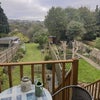 Photo 8: Balcony and garden 