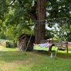 Photo 6: I also love reading and nature 