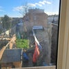 Photo 3: Looking out back bedroom u get the sunshine all day 
