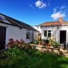 Photo 7: Garden and shed 