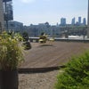 Photo 5: Communal terrace