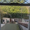Photo 2: View from the window of the garden