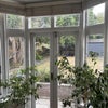 Photo 4: Garden