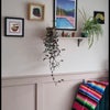 Photo 4: Bedroom
