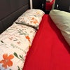 Photo 2: Bed