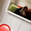 Martyna\'s picture
