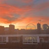 Photo 4: View from kitchen window 