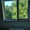 Photo 2: Garden view
