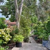 Photo 3: Patio leading to garden