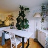 Photo 2: Open plan living/dining