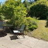 Photo 6: Patio/garden