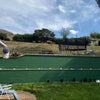 Photo 4: Back Garden