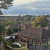 Photo 9: Back garden view