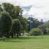 Photo 5: Park opposite house