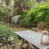 Photo 9: Garden
