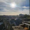 Photo 6: View from my Window!