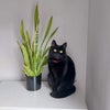 Photo 9: Blanca, the house cat