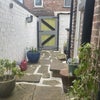 Photo 9: Back Yard