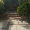 Photo 9: Garden