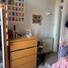 Photo 4: Room