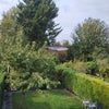 Photo 4: View from the bedroom window 