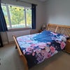 Photo 2: Bed and window