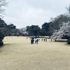 Photo 2: shinjuku gyōen