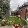 Photo 2: Back garden