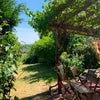 Photo 3: Garden 