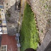 Photo 5: Garden