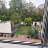 Photo 8: Garden view from the bedroom
