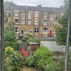 Photo 8: Back room view 