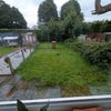 Photo 3: Rear garden