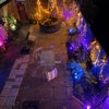 Photo 8: The back garden at night