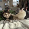 Photo 2: sunny and hiccup :)