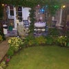 Photo 8: Garden